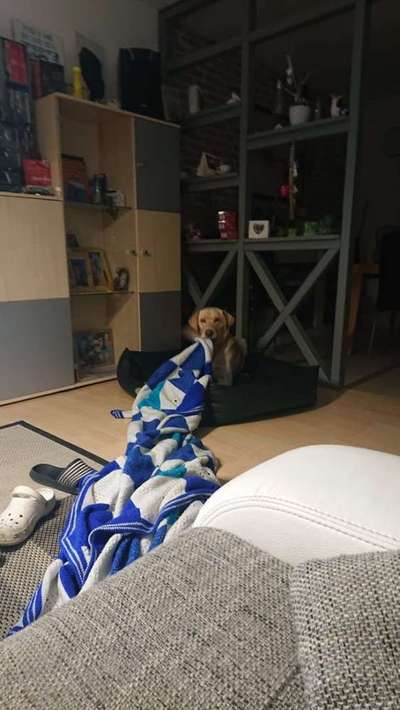 Lieblings Schnappschuss?-Beitrag-Bild