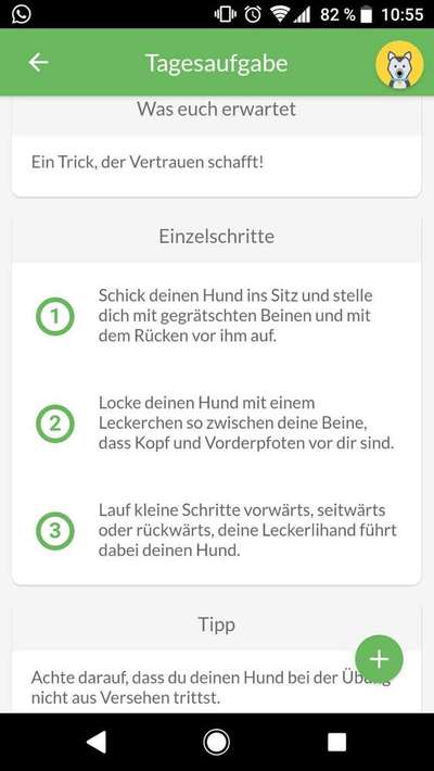 Beschäftigung bei schlechtem Wetter / in Quarantäne-Beitrag-Bild