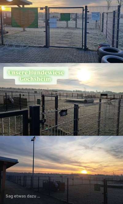 Hundeauslaufgebiet-Hundewiese Gochsheim by Schnauzenliebe-Bild