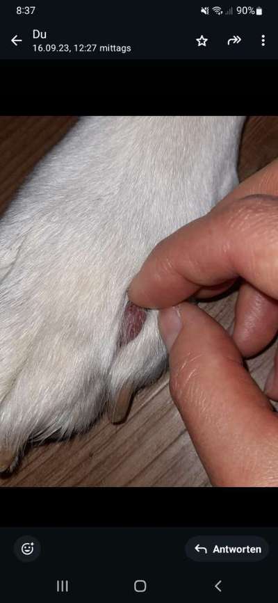 Was könnte das sein?-Beitrag-Bild