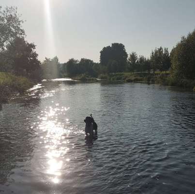 Fotowettbewerb: Wasserratte-Beitrag-Bild