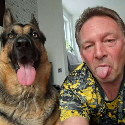 Hundetreffen-Gassi gehen und spielen-Bild