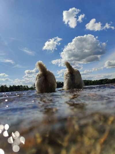 Theos Fotochallange Nummer 4-Beitrag-Bild