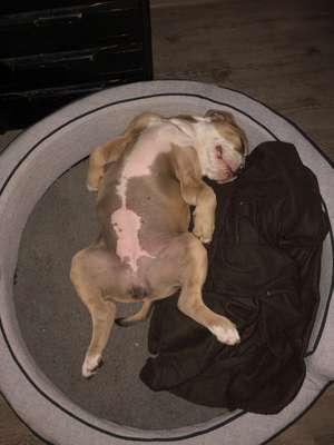 Die unbequemsten und lustigsten Schlafpositionen-Beitrag-Bild