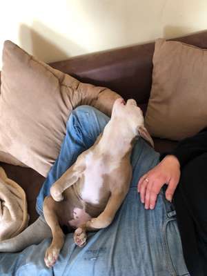 Die unbequemsten und lustigsten Schlafpositionen-Beitrag-Bild