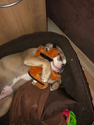 Die unbequemsten und lustigsten Schlafpositionen-Beitrag-Bild