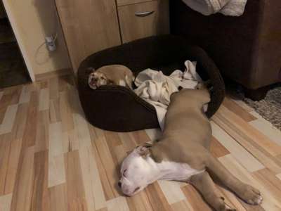 Die unbequemsten und lustigsten Schlafpositionen-Beitrag-Bild