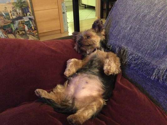 Fotochallenge Nr.65-Beitrag-Bild