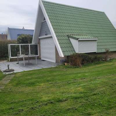 aktuelles Foto Gruppe Reisen mit Hund