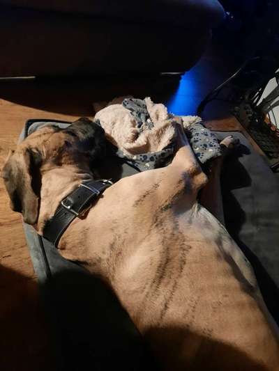 Die unbequemsten und lustigsten Schlafpositionen-Beitrag-Bild