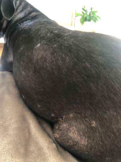 Verzweifelt-Beitrag-Bild