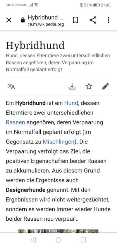 Windhunde - Treffen der besonderen Schönheiten
HERZLICH WILLKOMMEN-Beitrag-Bild