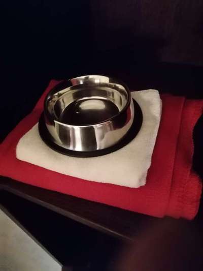 Windhunde - Treffen der besonderen Schönheiten
HERZLICH WILLKOMMEN-Beitrag-Bild