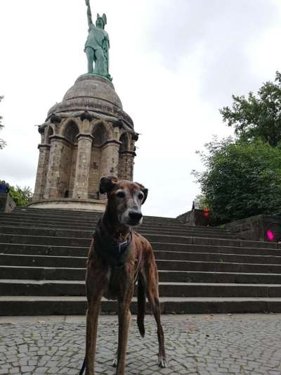 82. Foto Challenge: Skulptur/ Denkmal-Beitrag-Bild