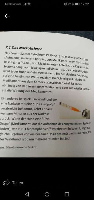 Windhunde - Treffen der besonderen Schönheiten
HERZLICH WILLKOMMEN-Beitrag-Bild