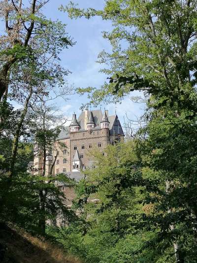 Windhunde - Treffen der besonderen Schönheiten
HERZLICH WILLKOMMEN-Beitrag-Bild