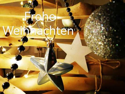 Windhunde - Treffen der besonderen Schönheiten
HERZLICH WILLKOMMEN-Beitrag-Bild