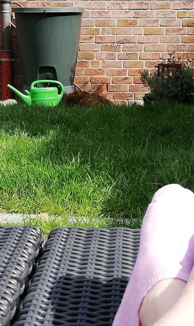 Windhunde - Treffen der besonderen Schönheiten
HERZLICH WILLKOMMEN-Beitrag-Bild