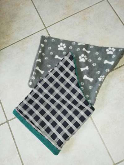 Windhunde - Treffen der besonderen Schönheiten
HERZLICH WILLKOMMEN-Beitrag-Bild