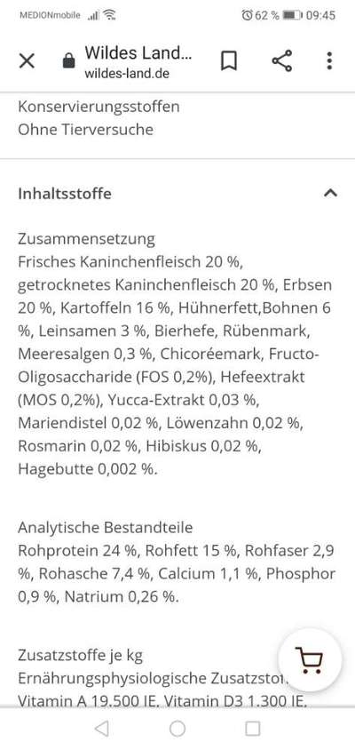 Windhunde - Treffen der besonderen Schönheiten
HERZLICH WILLKOMMEN-Beitrag-Bild