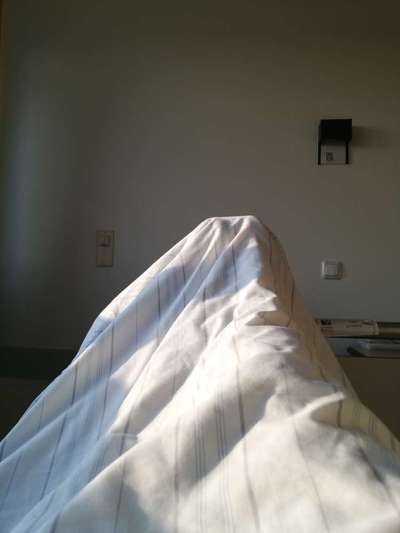 Windhunde - Treffen der besonderen Schönheiten
HERZLICH WILLKOMMEN-Beitrag-Bild