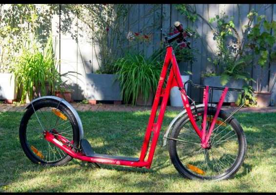 Windhunde - Treffen der besonderen Schönheiten
HERZLICH WILLKOMMEN-Beitrag-Bild