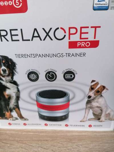 Windhunde - Treffen der besonderen Schönheiten
HERZLICH WILLKOMMEN-Beitrag-Bild