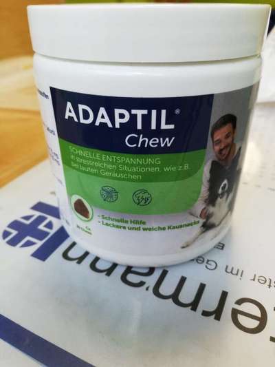 Windhunde - Treffen der besonderen Schönheiten
HERZLICH WILLKOMMEN-Beitrag-Bild