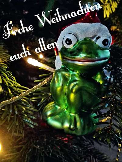 Windhunde - Treffen der besonderen Schönheiten
HERZLICH WILLKOMMEN-Beitrag-Bild