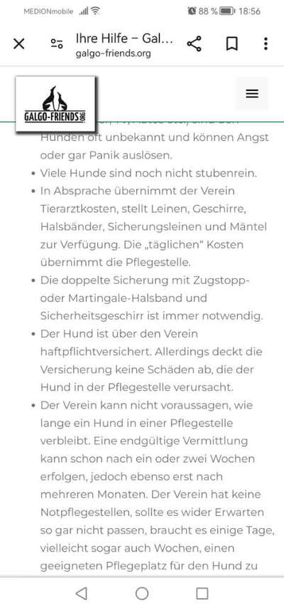 Tiere aus dem Ausland - TV-Formate-Beitrag-Bild