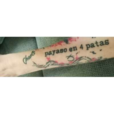 Andenken nach dem Verlust des Seelenhundes-Beitrag-Bild