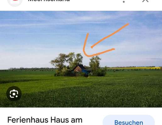 Windhunde - Treffen der besonderen Schönheiten
HERZLICH WILLKOMMEN-Beitrag-Bild