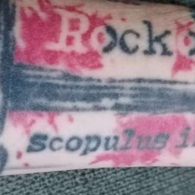 Andenken nach dem Verlust des Seelenhundes-Beitrag-Bild