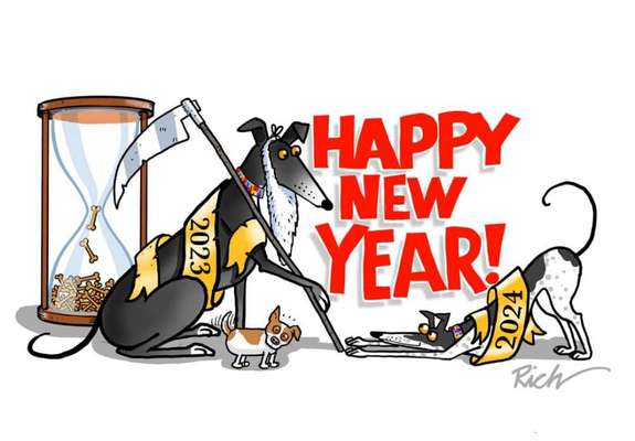 Windhunde - Treffen der besonderen Schönheiten
HERZLICH WILLKOMMEN-Beitrag-Bild