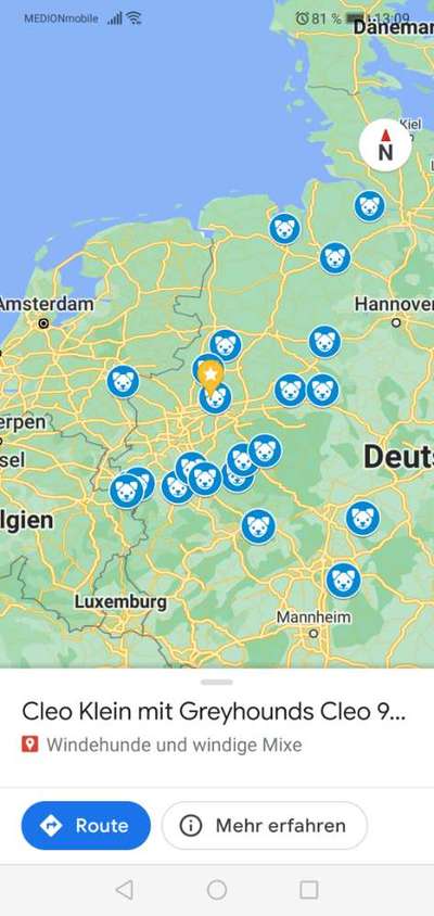 Windhundtreffen - PLZ-Beitrag-Bild