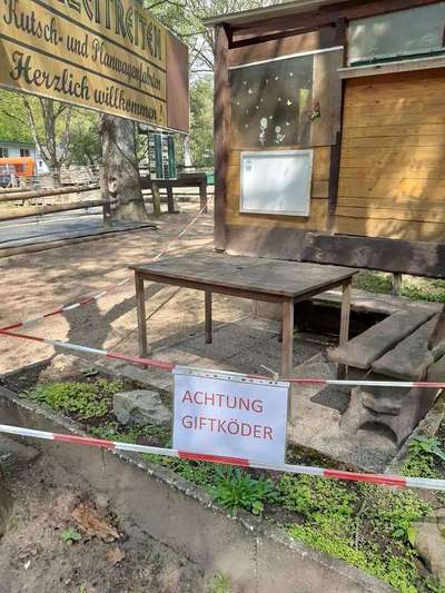 Windhunde - Treffen der besonderen Schönheiten
HERZLICH WILLKOMMEN-Beitrag-Bild