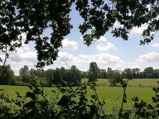 Windhunde - Treffen der besonderen Schönheiten
HERZLICH WILLKOMMEN-Beitrag-Bild
