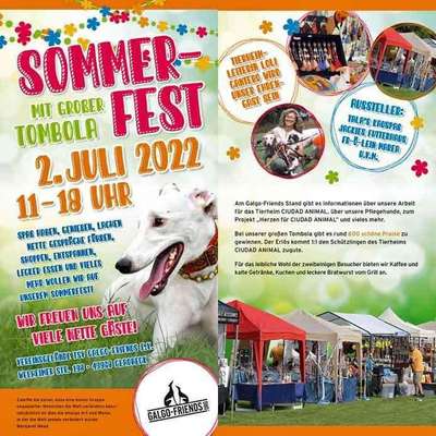 Windhunde - Treffen der besonderen Schönheiten
HERZLICH WILLKOMMEN-Beitrag-Bild