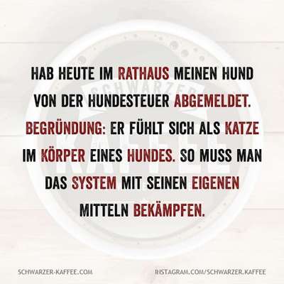 Windhunde - Treffen der besonderen Schönheiten
HERZLICH WILLKOMMEN-Beitrag-Bild