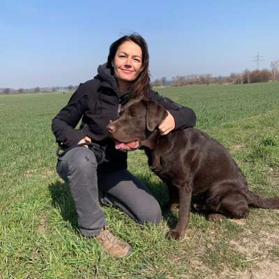 Hundetreffen-Hundespaziergang-Profilbild