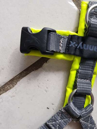 Annyx xxs protect gelb-grau-Beitrag-Bild