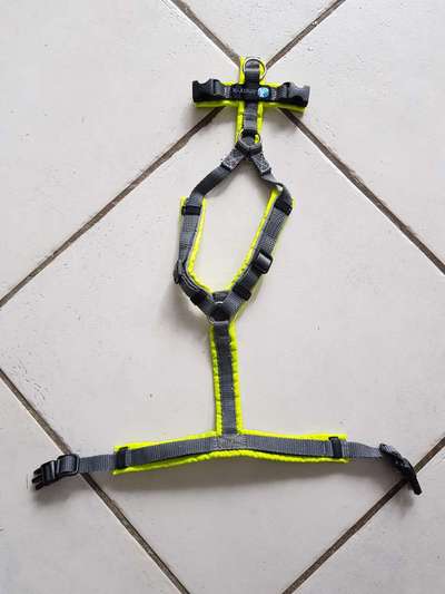 Annyx xxs protect gelb-grau-Beitrag-Bild