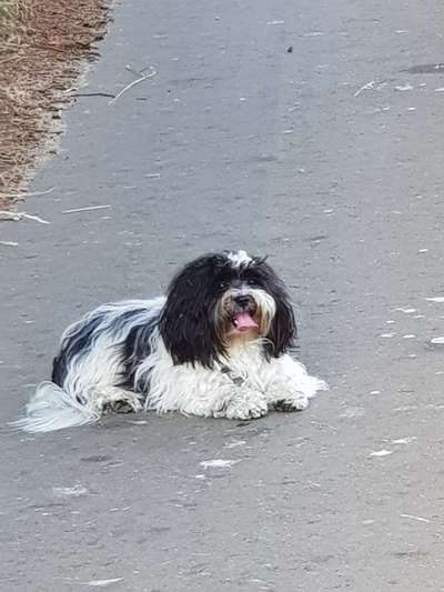 Doppelgänger gesucht !-Beitrag-Bild