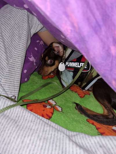 Her mit dem Grimassen-Beitrag-Bild