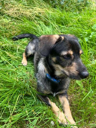 Fotowettbewerb Natur-Beitrag-Bild