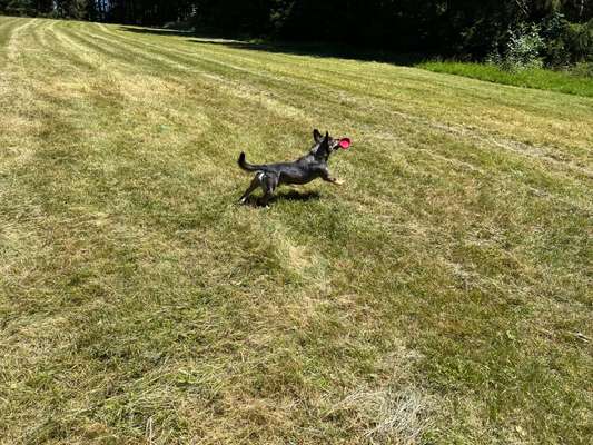 Foto-Challenge Nr. 90: Lebensfreude-Beitrag-Bild