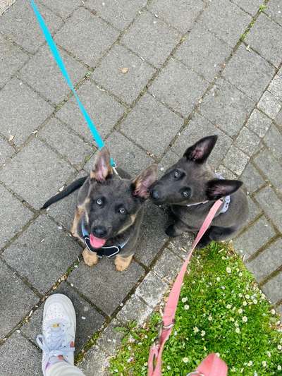 Von oben-Beitrag-Bild