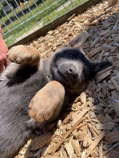 Immer lächeln !-Beitrag-Bild