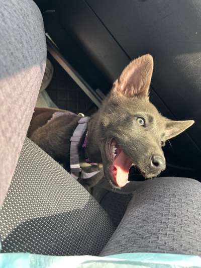 Das beste grinsefoto-Beitrag-Bild