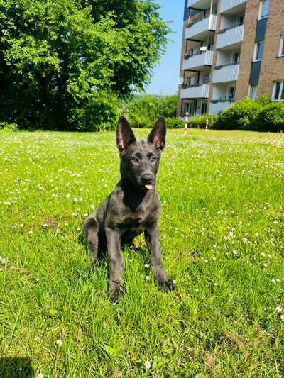 Tongue Out Tuesday-Beitrag-Bild